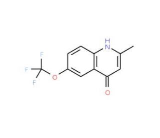 2-Methyl-6-trifluoromethoxyquinolin-4-ol (CAS 927800-79-1) - chemical structure image
