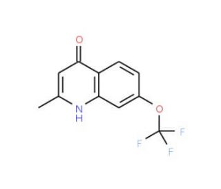 2-Methyl-7-trifluoromethoxyquinolin-4-ol (CAS 53985-76-5) - chemical structure image