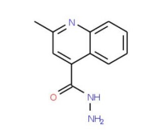 2-Methyl-quinoline-4-carboxylic acid hydrazide (CAS 29620-66-4) - chemical structure image