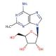 2-methyladenosine 的分子结构, CAS编号: 16526-56-0 2-methyladenosine (CAS 16526-56-0) - chemical structure image