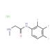 2-(methylamino)-N-(2,3,4-trifluorophenyl)acetamide hydrochloride - chemical structure image
