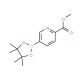 2-(Methylcarboxy)pyridine-5-boronic acid pinacol ester (CAS 957065-99-5) - chemical structure image