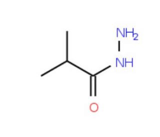 2-Methylpropanohydrazide (CAS 3619-17-8) - chemical structure image