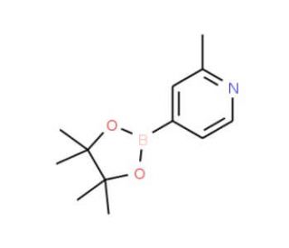 2-Methylpyridine-4-boronic acid pinacol ester (CAS 660867-80-1) - chemical structure image