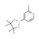 2-Methylpyridine-4-boronic acid pinacol ester (CAS 660867-80-1) - chemical structure image