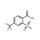 2-(Methylsulfonyl)-4-(trifluoromethyl)benzoic acid (CAS 142994-06-7) - chemical structure image