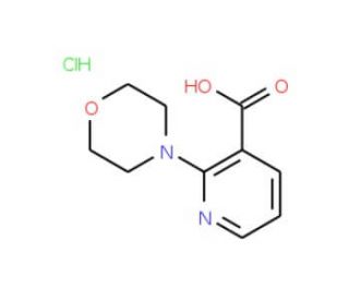 2-morpholin-4-ylnicotinic acid hydrochloride - chemical structure image