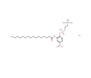 2-(N-Hexadecanoylamino)-4-nitrophenylphosphocholine Hydroxide - chemical structure image