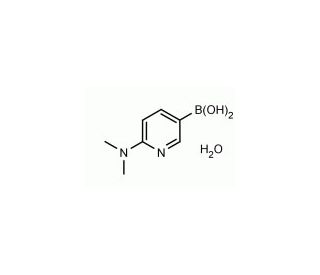 2-(N,N-Dimethylamino)pyridine-5-boronic acid (CAS 579525-46-5) - chemical structure image