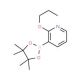 2-n-Propoxypyridine-3-boronic acid pinacol ester (CAS 1073371-87-5) - chemical structure image