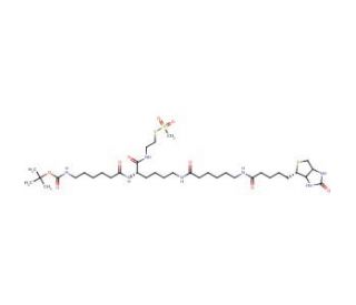 2-[N2-(N6-t-Boc-6-aminocaproyl)-N6-(6-biotinamidocaproy)-L -lysinylamido]ethyl Methanethiosulfonate - chemical structure imag