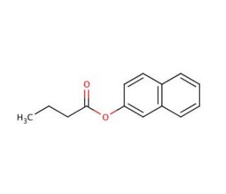 2-Naphthyl butyrate (CAS 5856-33-7) - chemical structure image