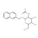 2-Naphthylmethyl 2-acetamido-2-deoxy-b-D-glucopyranoside (CAS 197574-95-1) - chemical structure image