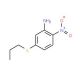 2-Nitro-5-(propylthio)aniline (CAS 57780-75-3) - chemical structure image
