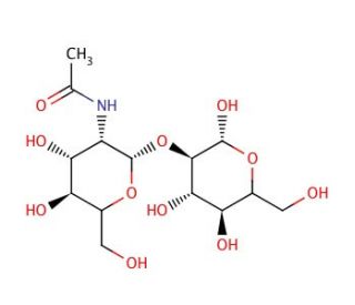 2-O-(2-Acetamido-2-deoxy-β-D-glucopyranosyl)-D-mannose (CAS 34621-73-3) - chemical structure image