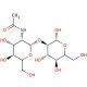 2-O-(2-Acetamido-2-deoxy-β-D-glucopyranosyl)-D-mannose 的分子结构, CAS编号: 34621-73-3 2-O-(2-Acetamido-2-deoxy-β-D-glucopyranosyl)-D-mannose (CAS 34621-73-3) - chemical structure image