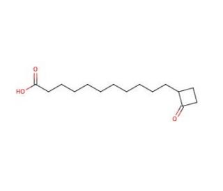 2-Oxo-cyclobutane Undecanoic Acid (CAS 169263-77-8) - chemical structure image