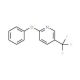 2-Phenoxy-5-(trifluoromethyl)pyridine - chemical structure image