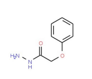2-Phenoxyacetohydrazide (CAS 4664-55-5) - chemical structure image