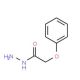 2-Phenoxyacetohydrazide (CAS 4664-55-5) - chemical structure image