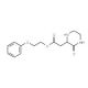 2-Phenoxyethyl 2-(3-oxo-2-piperazinyl)acetate - chemical structure image
