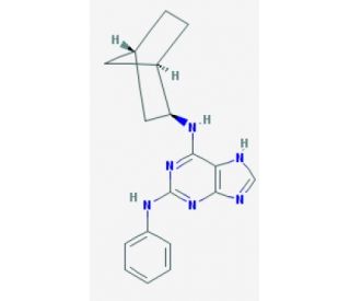 2-phenyl-amino-N6-endo-norbornyladenine (CAS 863202-33-9) - chemical structure image