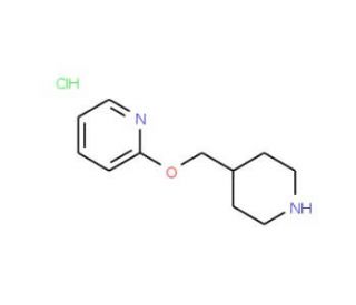 2-(Piperidin-4-ylmethoxy)-pyridine hydrochloride - chemical structure image