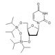 2′-Deoxy-3′,5′-O-(1,1,3,3-tetraisopropyl-1,3-disiloxanediyl)uridine (CAS 98495-56-8) - chemical structure image