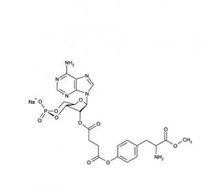 2&prime;-O-Monosuccinyladenosine-3&prime;,5&prime;-cyclic monophosphate tyrosylmethylester . sodium salt (CAS 60448-20-6) - chemical structure