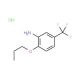 2-propoxy-5-(trifluoromethyl)aniline hydrochloride - chemical structure image