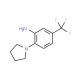 2-Pyrrolidin-1-yl-5-(trifluoromethyl)aniline (CAS 133184-80-2) - chemical structure image