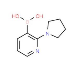 2-(Pyrrolidin-1-yl)pyridine-3-boronic acid (CAS 1257648-75-1) - chemical structure image