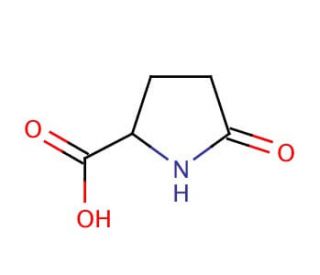 2-Pyrrolidone-5-carboxylic acid (CAS 149-87-1) - chemical structure image