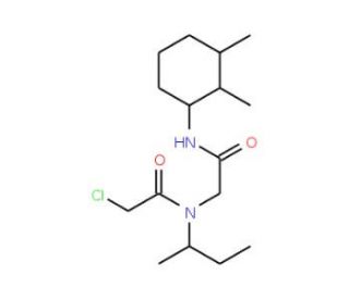 2-[sec-butyl(chloroacetyl)amino]-N-(2,3-dimethylphenyl)acetamide - chemical structure image