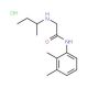 2-(sec-butylamino)-N-(2,3-dimethylphenyl)acetamide hydrochloride - chemical structure image