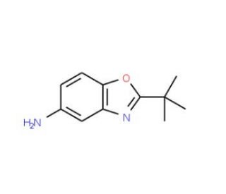 2-tert-butyl-1,3-benzoxazol-5-amine - chemical structure image