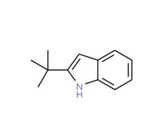 2-(tert-Butyl)-1H-indole (CAS 1805-65-8) - chemical structure image