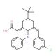 2-tert-Butyl-4-(3-chloro-benzylidene)-1,2,3,4-tetrahydro-acridine-9-carboxylic acid - chemical structure image