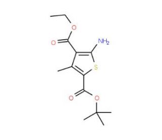 2-tert-butyl 4-ethyl 5-amino-3-methylthiophene-2,4-dicarboxylate - chemical structure image