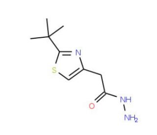 (2-tert-Butyl-thiazol-4-yl)acetic acid hydrazide (CAS 496057-31-9) - chemical structure image