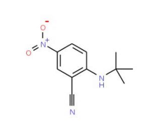 2-(tert-butylamino)-5-nitrobenzonitrile - chemical structure image