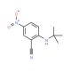 2-(tert-butylamino)-5-nitrobenzonitrile - chemical structure image