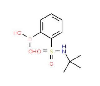 2-(tert-Butylamino)sulfonylphenylboronic acid (CAS 150691-04-6) - chemical structure image