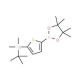 2-(tert-Butyldimethylsilyl)thiophene-5-boronic acid pinacol ester 的分子结构, CAS编号: 1073371-74-0 2-(tert-Butyldimethylsilyl)thiophene-5-boronic acid pinacol ester (CAS 1073371-74-0) - chemical structure image