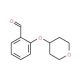 2-(Tetrahydro-2H-pyran-4-yloxy)benzaldehyde (CAS 898289-31-1) - chemical structure image