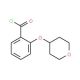2-(Tetrahydro-2H-pyran-4-yloxy)benzoyl chloride (CAS 906352-68-9) - chemical structure image