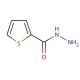 2-Thiophenecarboxylic acid hydrazide (CAS 2361-27-5) - chemical structure image