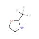 2-(trifluoromethyl)-1,3-oxazolidine - chemical structure image