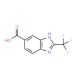 2-Trifluoromethyl-1H-benzoimidazole-5-carboxylic acid (CAS 82791-93-3) - chemical structure image