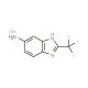 2-Trifluoromethyl-3H-benzoimidazol-5-ylamine hydrochloride - chemical structure image